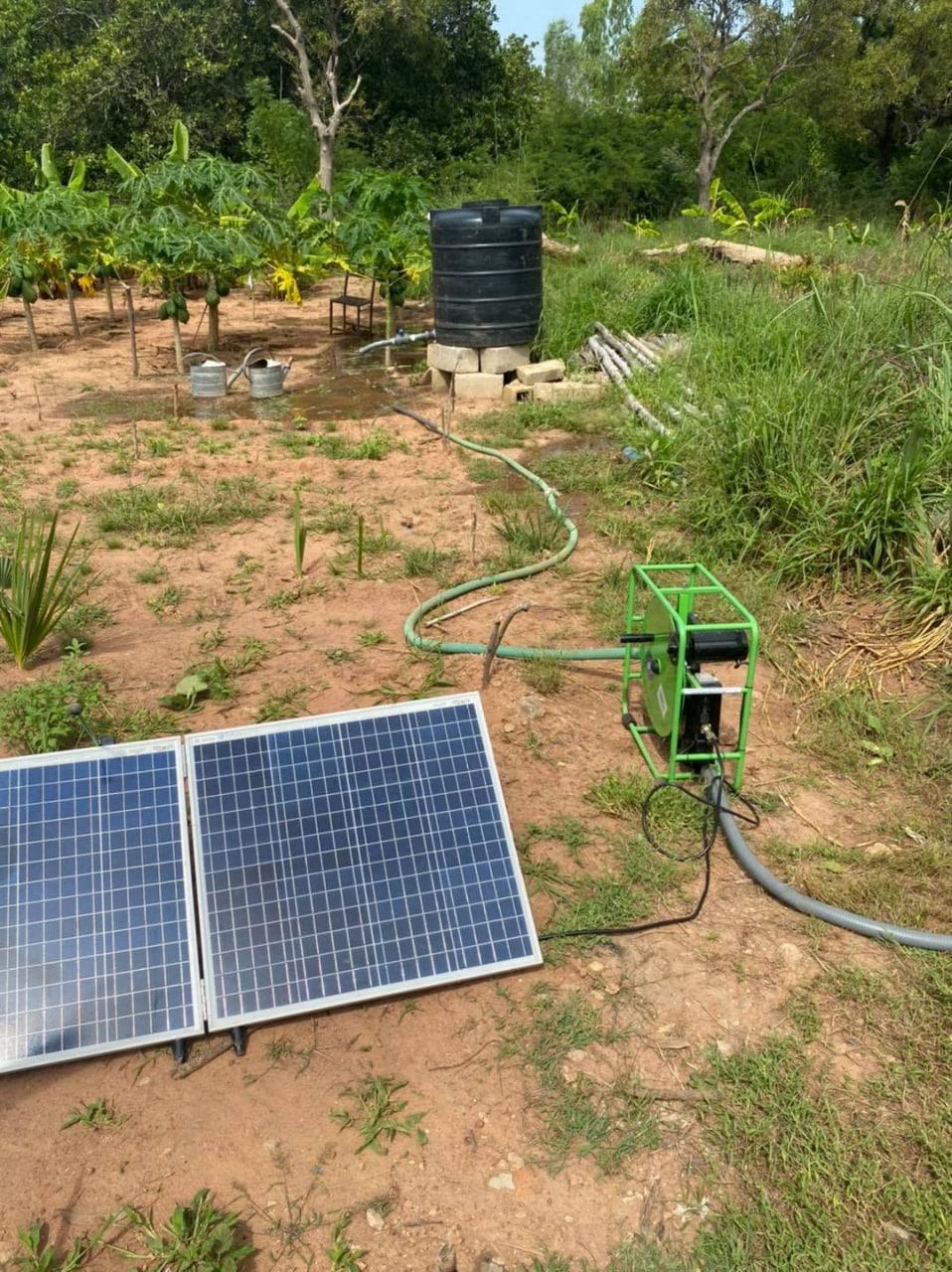 Hose running from a solar pump to a black plastic storage tank beside a banana plot.